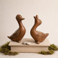 Irmãos Pato Conjunto
